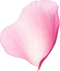 Decorative petal